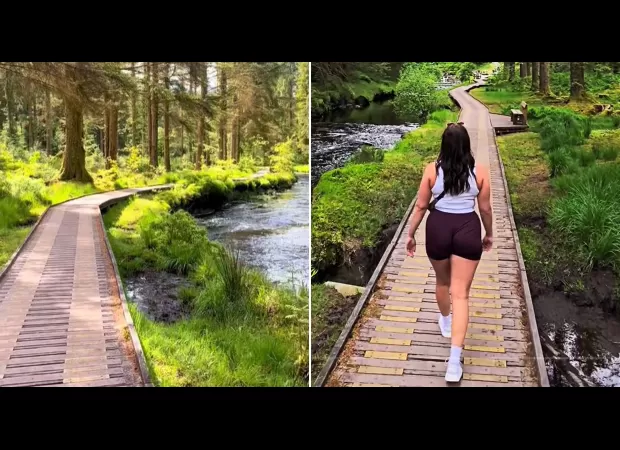 People think this beautiful forest resembles Canada or Alaska, but it's located in the UK and doesn't cost a thing.