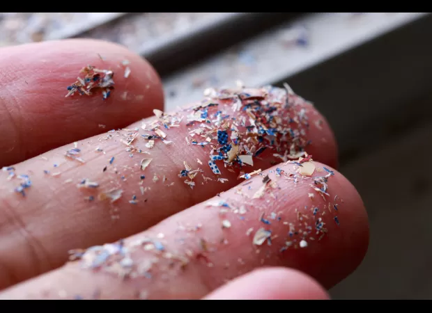 Tiny plastic particles in the brain may be connected to the increasing prevalence of Alzheimer's disease.