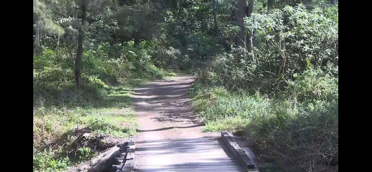 A woman was accused of murder when a man's body was discovered in a bag used to carry surfboards.