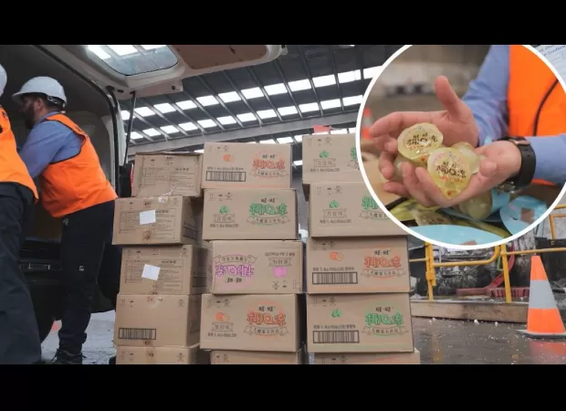 Dangerous kids' snack found at three western Sydney stores.