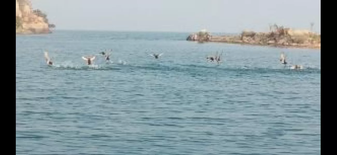 Girl missing after jumping into Mahanadi river.