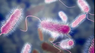 In Milan, four people have died from a mysterious illness with an unknown origin.