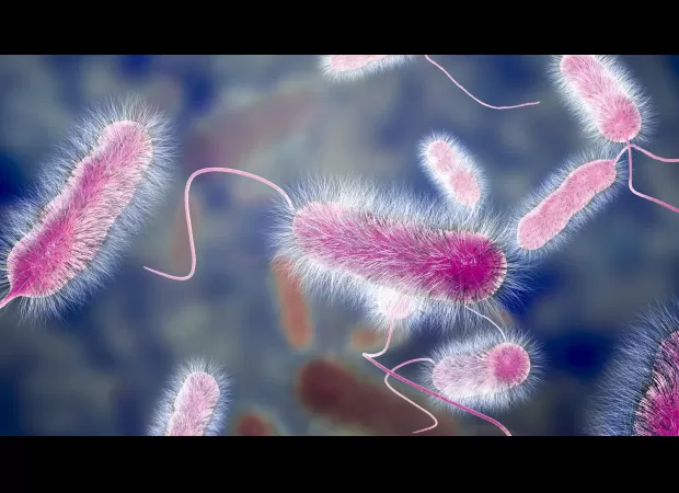 In Milan, four people have died from a mysterious illness with an unknown origin.