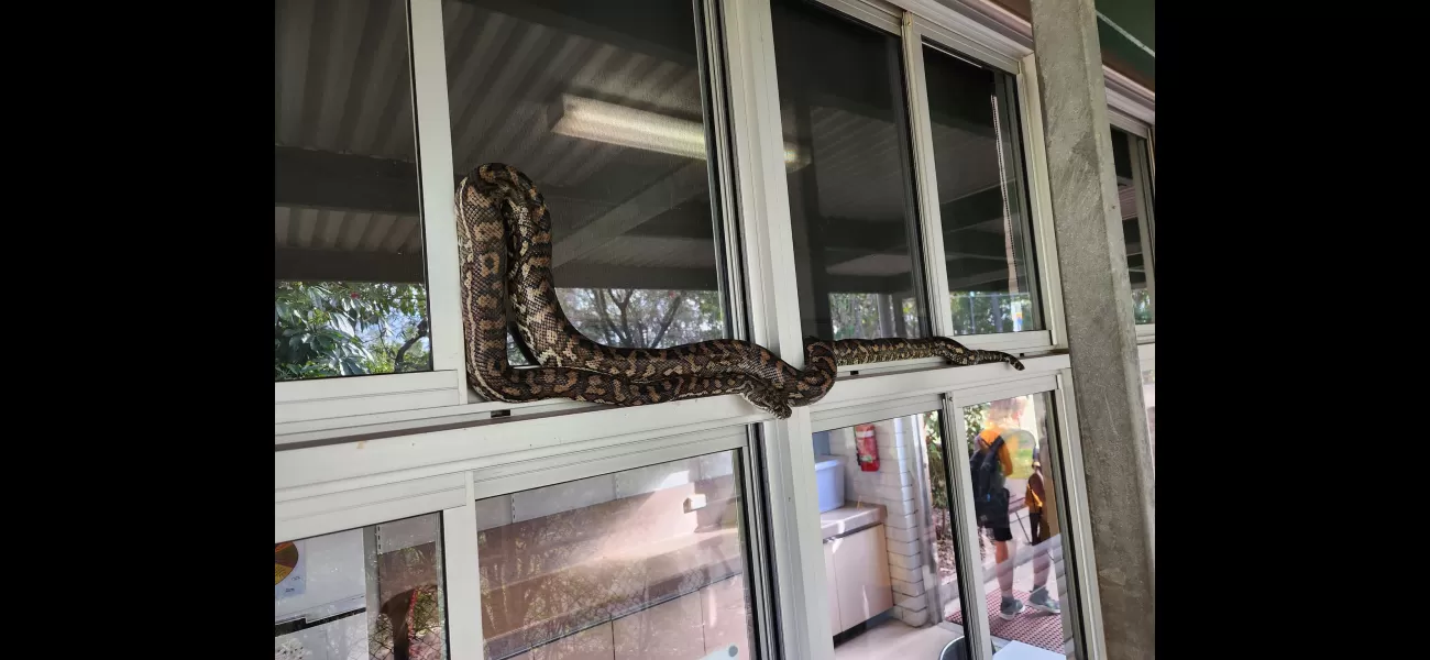 Experts caution that snakes are becoming more active due to the mild end to winter.