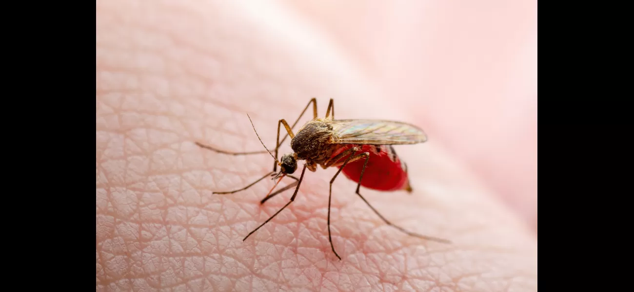 Two additional deaths caused by deadly mosquitos bites reported.