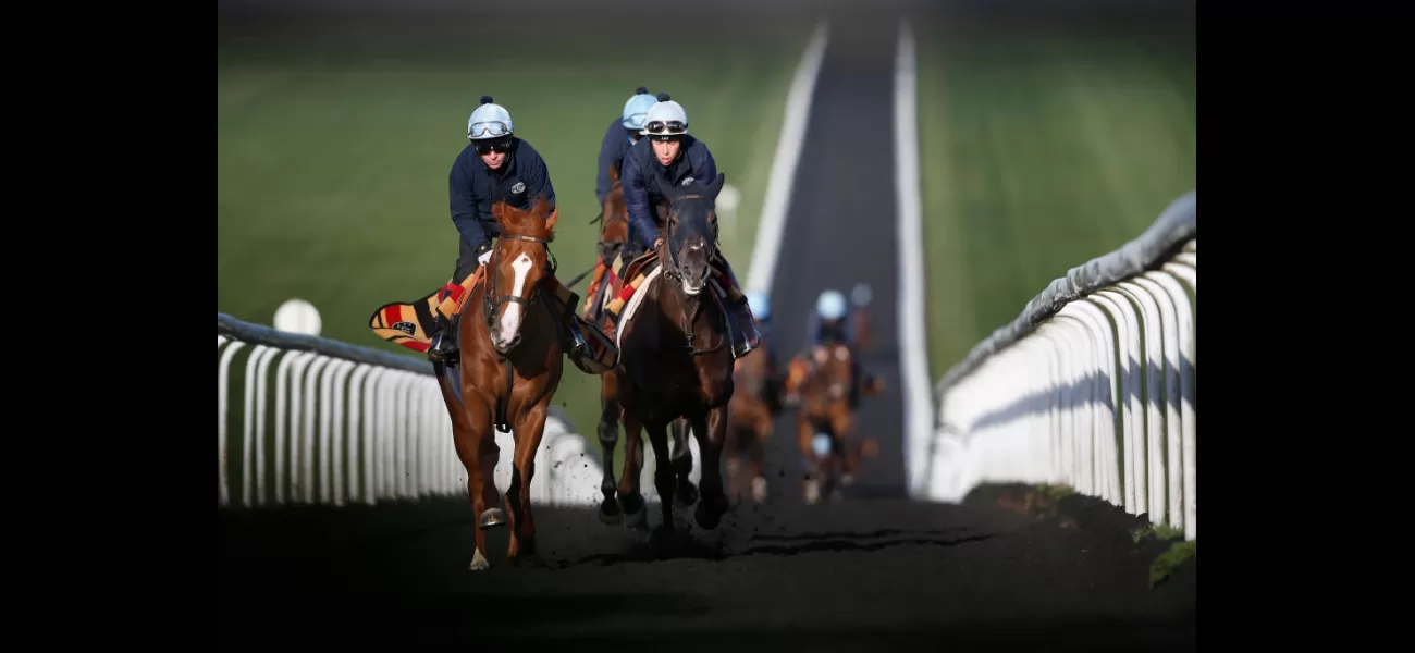 A horse has been found with cocaine in its system after coming in second place during a race.
