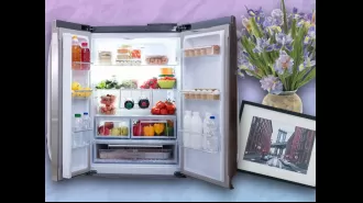 People are now spending time 'fridgescaping' on the internet, and it's raising many questions.