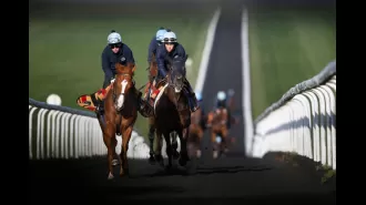 A horse has been found with cocaine in its system after coming in second place during a race.