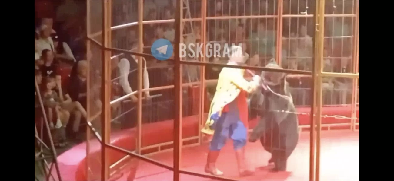 Circus performer attacked by 35-stone bear fights to escape.