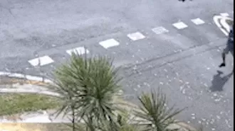 Police are searching for a man who allegedly threw a cup of hot coffee at a baby in a park in Brisbane.