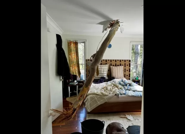 Sydney experiences record-breaking heat and strong winds causing chaos in August.