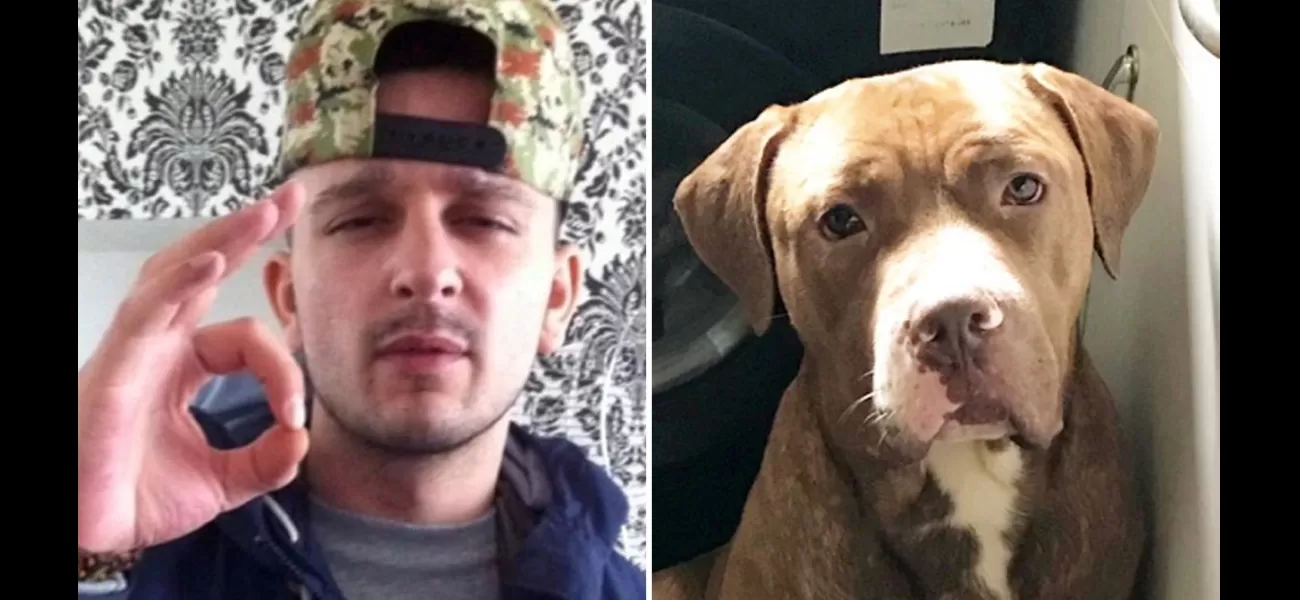 Family honors man killed by 2 XL bully dogs.
