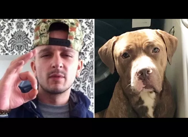 Family honors man killed by 2 XL bully dogs.