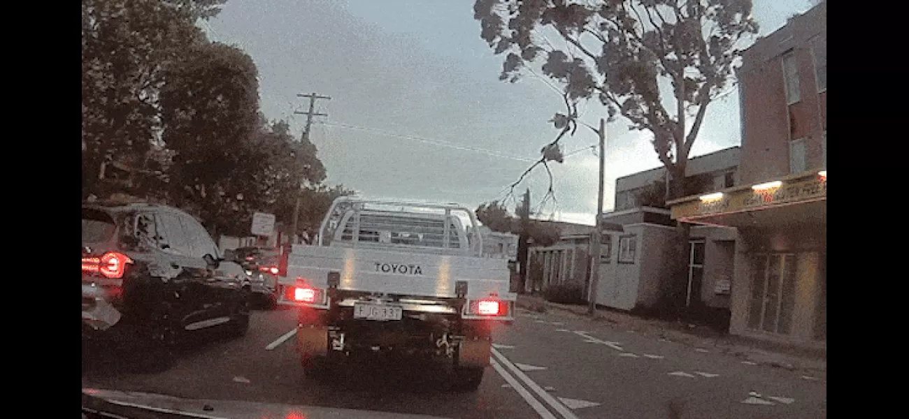 A video captures the intense moment a tree branch strikes a powerline.