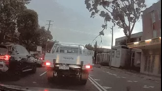 A video captures the intense moment a tree branch strikes a powerline.