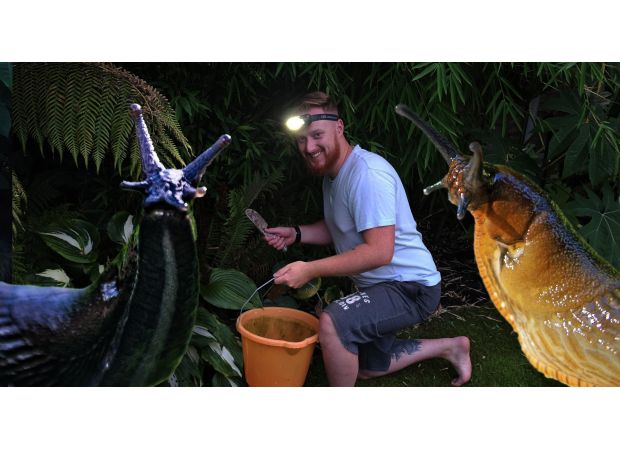 A dad is fighting against a large number of slugs in his garden.