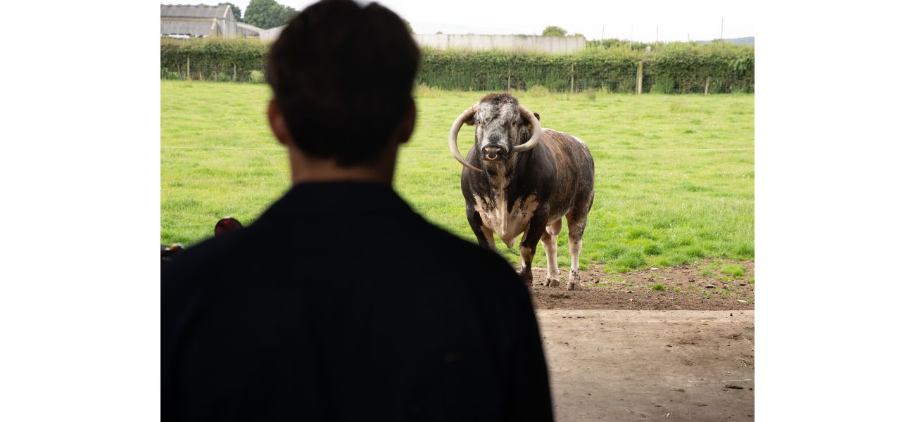 A beloved character from Emmerdale was taken to the hospital following an incident on the farm, and the situation seems dire.
