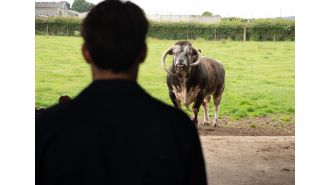 A beloved character from Emmerdale was taken to the hospital following an incident on the farm, and the situation seems dire.