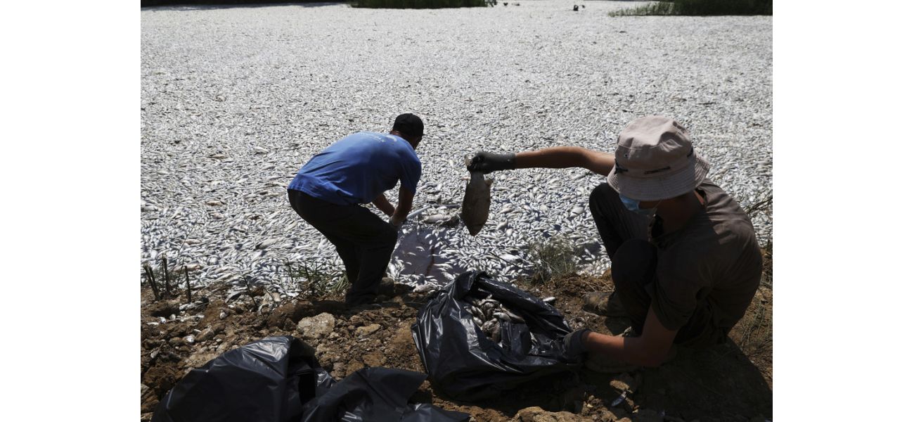 Greek harbor covered in over 100 tons of deceased fish.