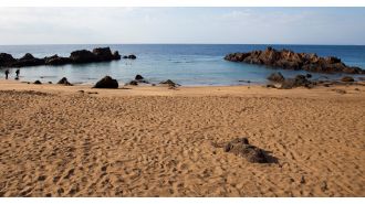 British tourist dies while scuba diving at popular beach.