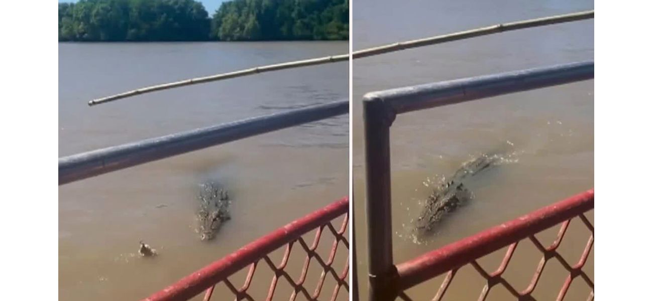 A crocodile devours another one in front of tourists in NT, leaving them stunned.