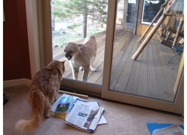 Colorado's ballot measures continue to be divisive, with Front Range residents and rural residents often finding themselves at odds.