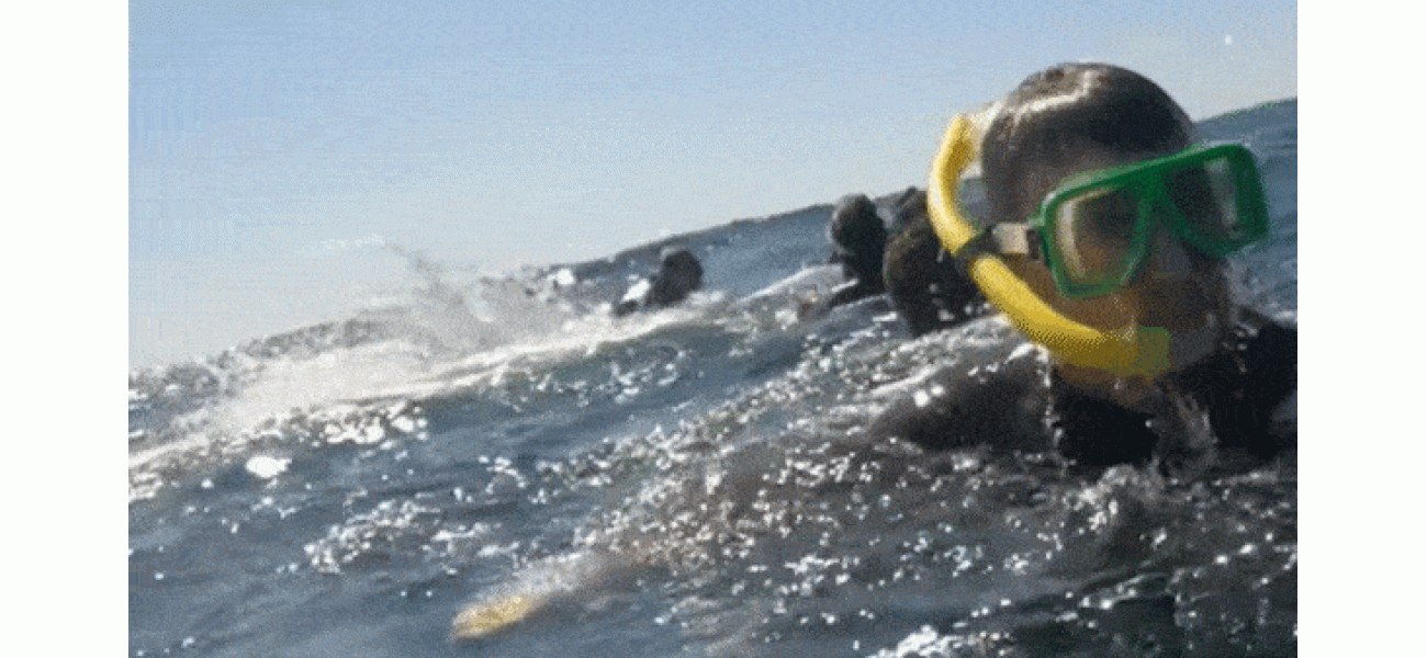 Whale propels snorkeler into sky near Gold Coast