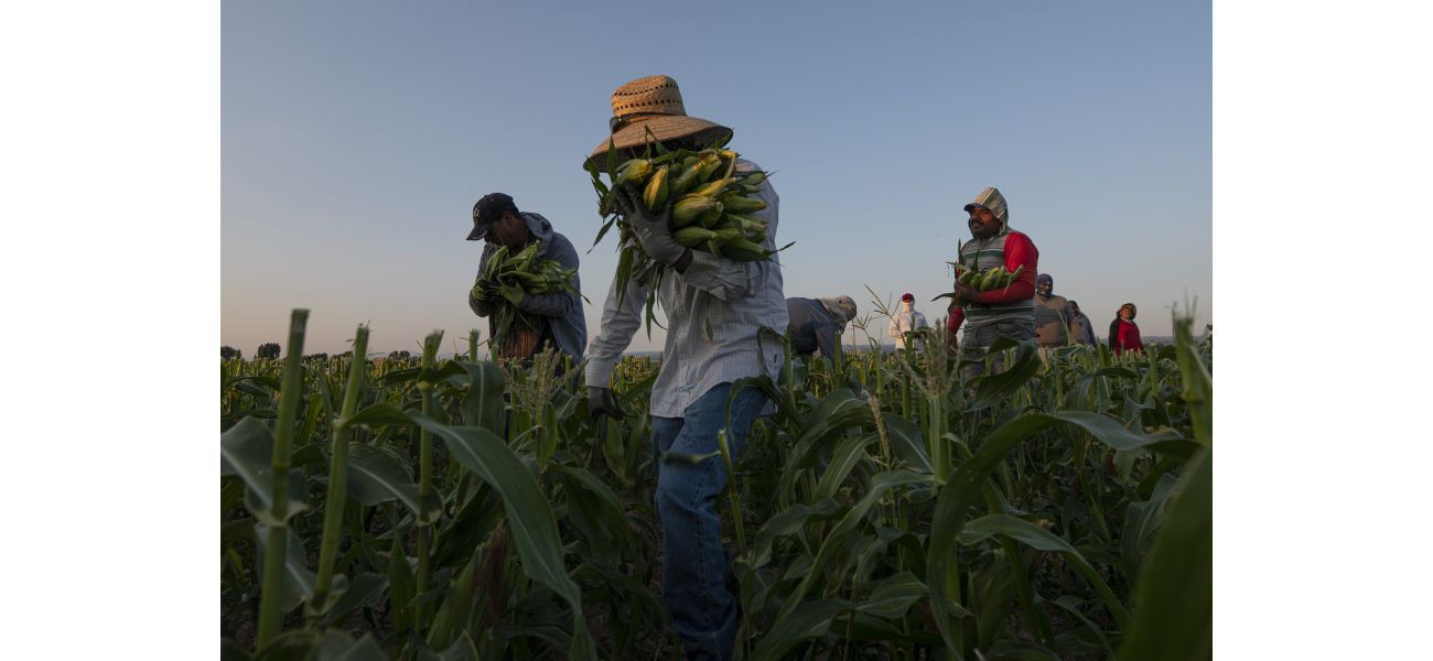 Colorado farmers, will you join in the fight against agricultural worker abuse, which this organization has successfully eradicated?