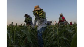 Colorado farmers, will you join in the fight against agricultural worker abuse, which this organization has successfully eradicated?