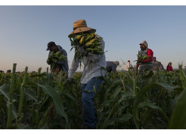 Colorado farmers, will you join in the fight against agricultural worker abuse, which this organization has successfully eradicated?