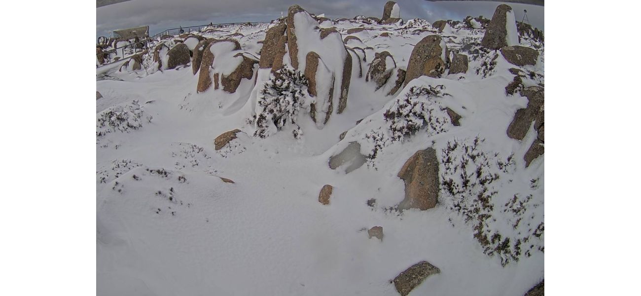 A rescue team saved 18 hikers, including two children, from a Tasmanian mountain.