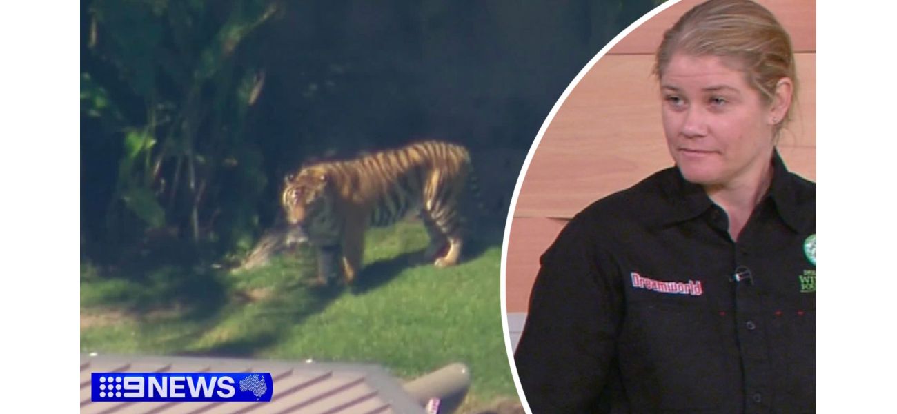 Tiger bites Dreamworld worker, identified as handler