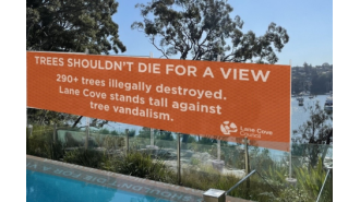 Sydney construction starts on banner after 'tree vandalism,' blocking views.