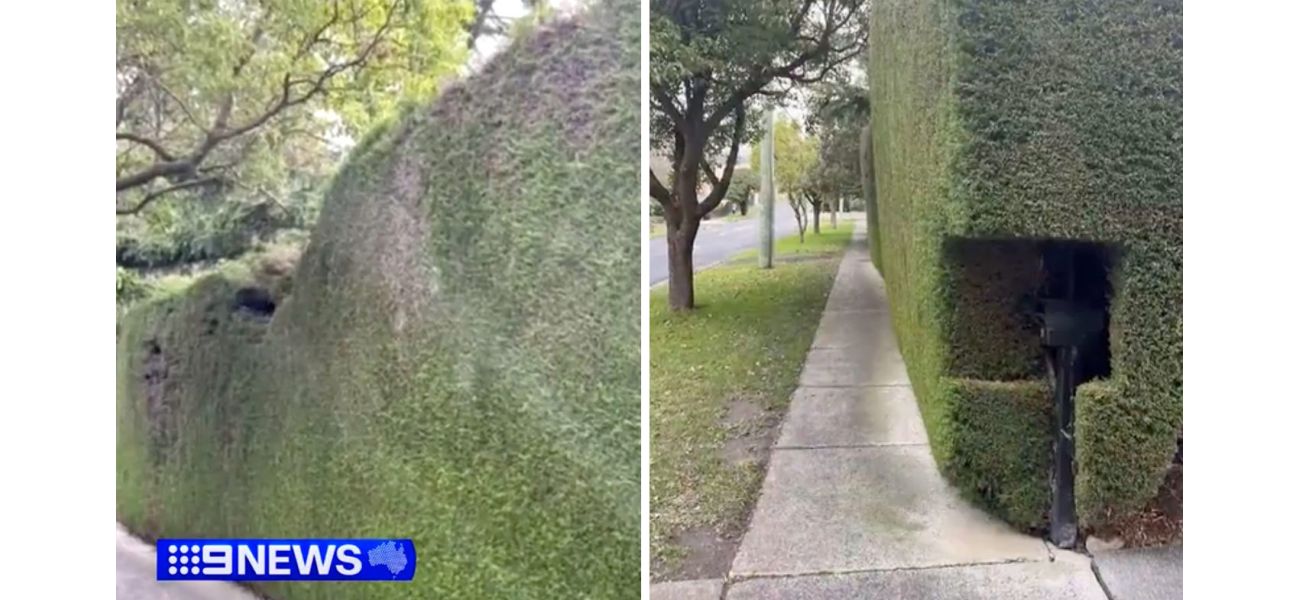 Homeowners are in a dispute with their local council over a hedge, which they consider to be a joke.
