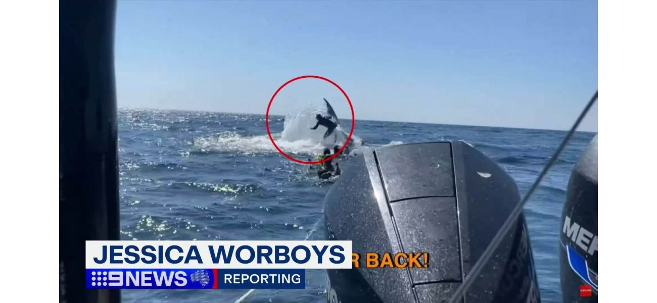 A humpback whale knocks a snorkeler aside in a video.