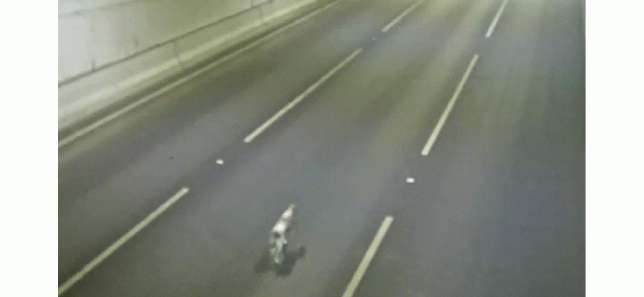 A dog was rescued unharmed from a busy tunnel in Melbourne.