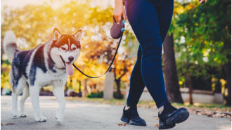 Not enough fines for dog poop, a major health concern.
