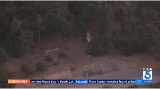 5-year-old attacked by lion during picnic, pulled into woods.