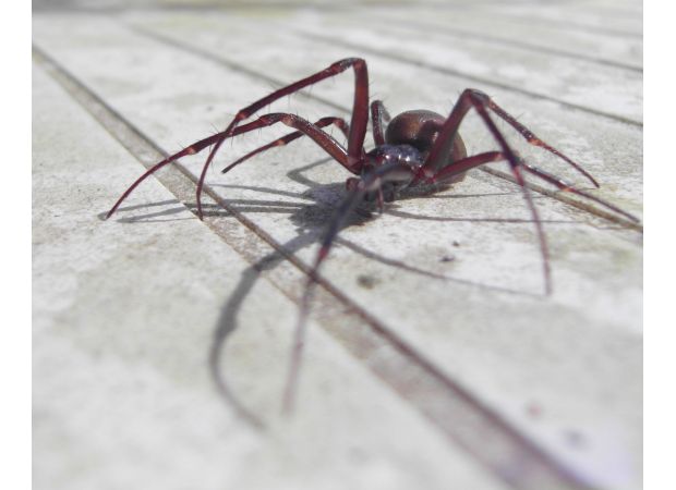 Who's come out on top and who's fallen behind during the UK's chilliest summer in 10 years?