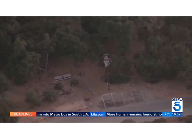 5-year-old attacked by lion during picnic, pulled into woods.