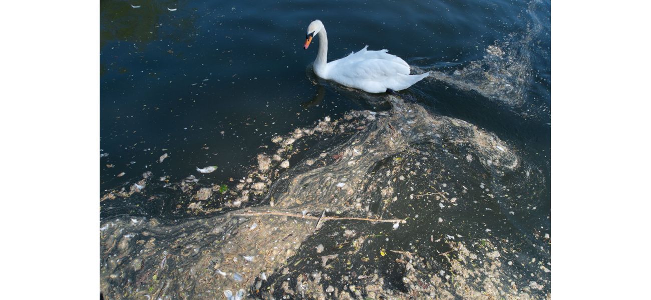 New laws could mean that water managers may be jailed for releasing sewage into bodies of water.