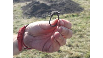 Amateur archaeologist finds ancient Pictish ring at Scottish fort, dating back 1,000 years.