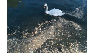 New laws could mean that water managers may be jailed for releasing sewage into bodies of water.