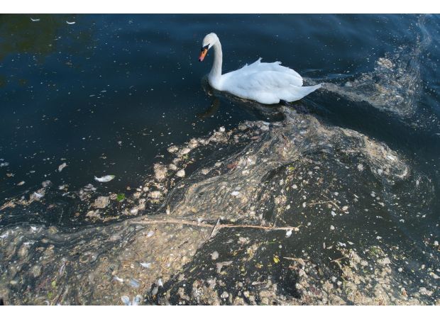 New laws could mean that water managers may be jailed for releasing sewage into bodies of water.