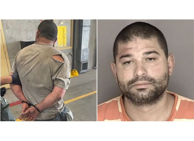 A man killed 80 animals while families were sleeping.