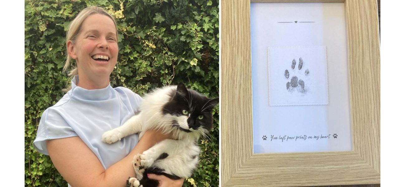 Deceased cat, Ted, returns home after four days post-cremation.