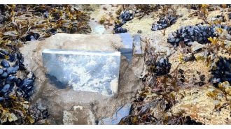 People are upset about the sudden appearance of a concrete dam on a faraway beach.
