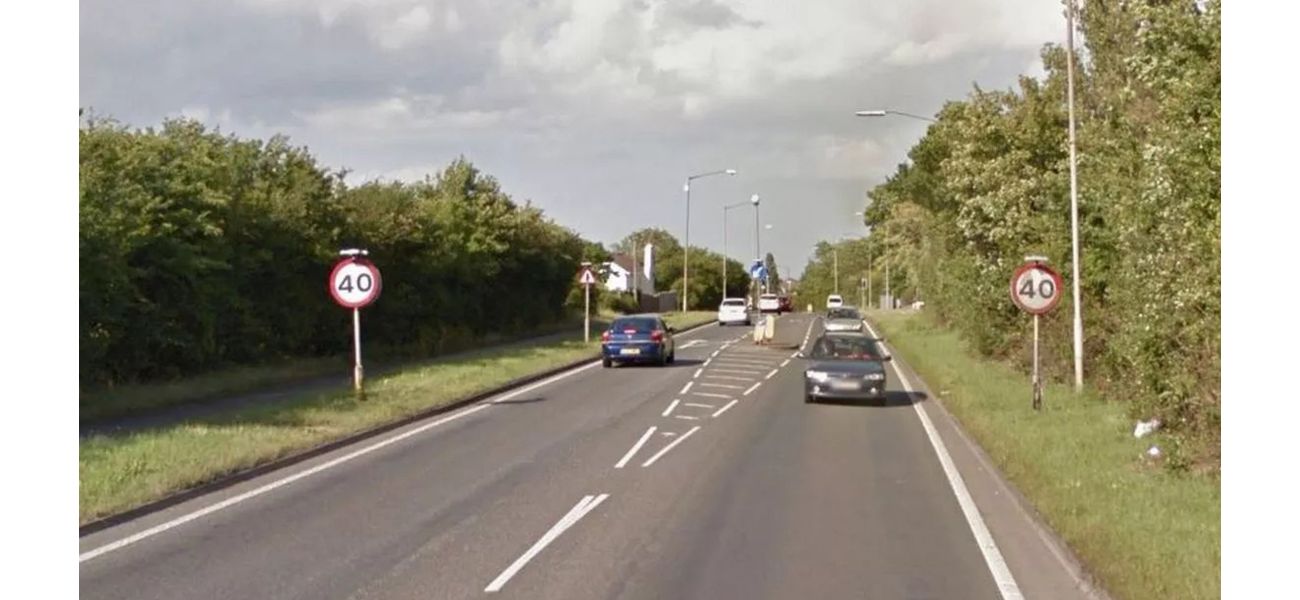 A woman and her dog were fatally struck by a taxi while taking a walk, both in their 60s.