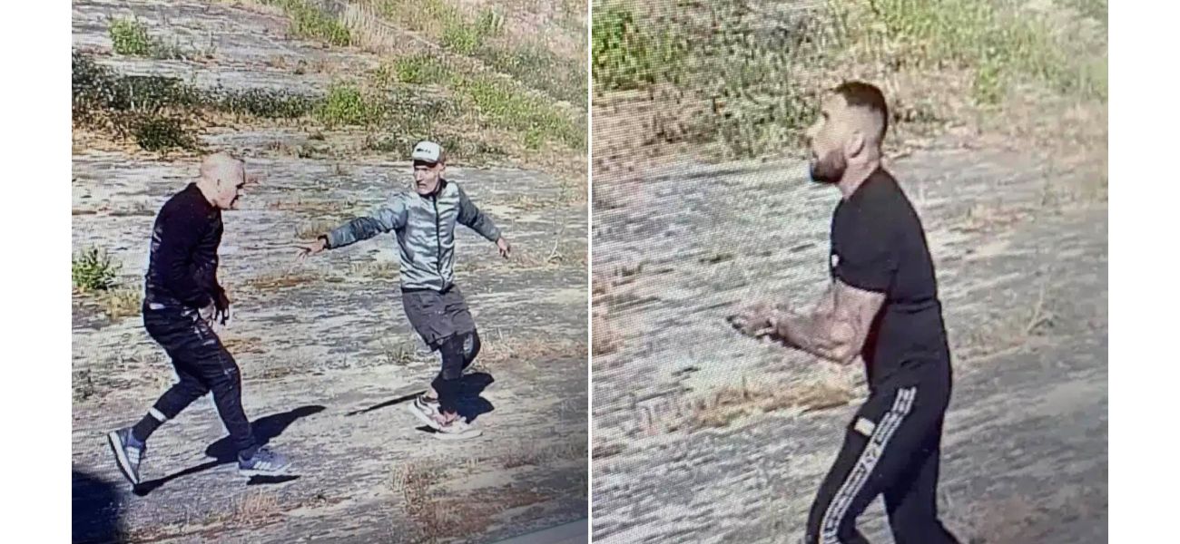 British prisoner escapes from jail in Portugal by climbing a ladder - a dangerous feat.