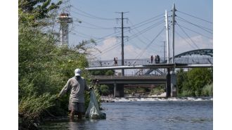 Denver's efforts to improve the quality of the South Platte River for swimming face a difficult task.